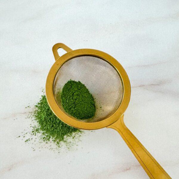 Matcha Sifter (Chakoshi)